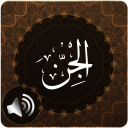 Surah Jinn Audio