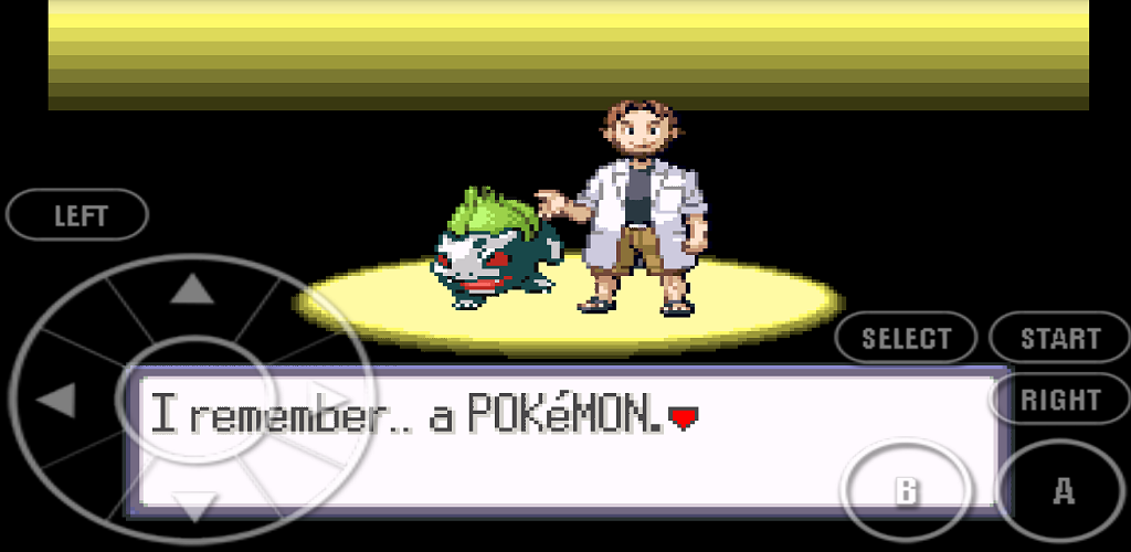 Pokemon old version