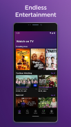 Roku screenshot 5