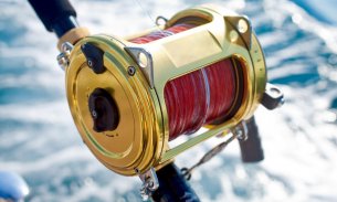Fishreeler - All About Fishing: Fishing Gear, Reels, Rods
