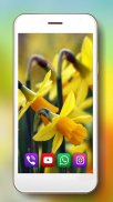 Spring Irises and Narcissus Flowers Live Wallpaper screenshot 5