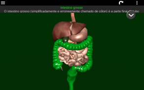 Órgãos Internos em 3D (Anatomia) screenshot 12