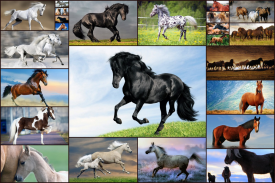 Horse Jigsaw Puzzles Game Kids screenshot 0