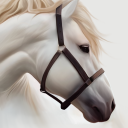 Horse Wallpaper HD: Themes