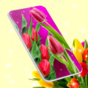 Tulips Spring Live Wallpaper