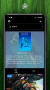 explore.org screenshot 11