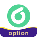 Ok Option