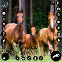 Wild Horse : Equestrian Family