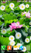 Lotus Live Wallpapers screenshot 3