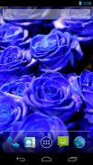 Hoa hồng xanh biếc screenshot 3