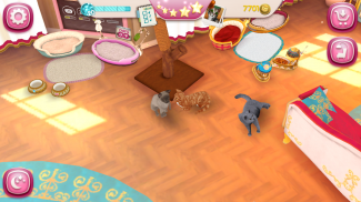 CatHotel - Hotel for cute cats screenshot 6