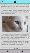 Kedi Bakımı screenshot 3