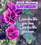 Good Morning GIF & Images screenshot 3
