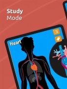 Anatomix: Anatomie atlas game screenshot 1