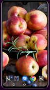 HD Fruit Apple Wallpaper screenshot 15