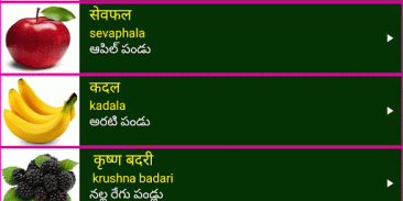 Learn Sanskrit From Telugu screenshot 5