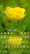 Фон клавіатури Summer Tulips screenshot 0