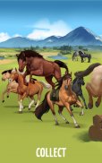 Howrse - Horse Breeding Game screenshot 15