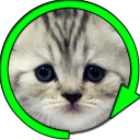 Kitten Spinner Prank Icon