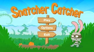 Snatcher Catcher - Free Whack a Mole Game screenshot 4