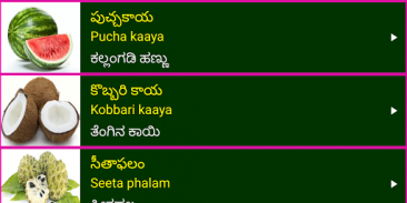 Learn Telugu From Kannada screenshot 6