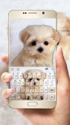 Innocent Puppy Keyboard Theme screenshot 1