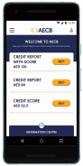 AECB CreditReport screenshot 2