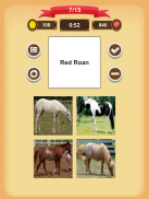 Horse Coat Colors Quiz screenshot 6