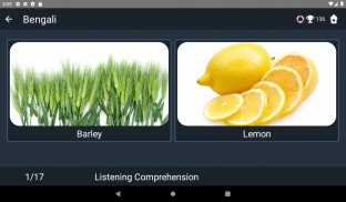 Bengali Language Tests screenshot 14