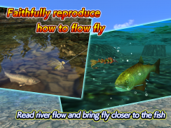 Fly Fishing 3D II screenshot 5