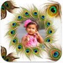 Peacock Feather Photo Frames Icon