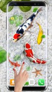 Koi Fish Live Wallpapers 3D screenshot 2