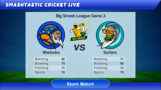Smashtastic Cricket screenshot 3