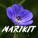 Marikit Song Lyrics Icon