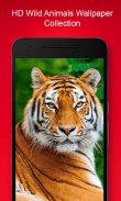 Free Animal Wallpaper screenshot 1