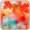 Maple Droplets live wallpaper