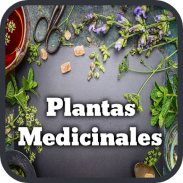 Plantas Medicinales y Medicina Natural screenshot 7