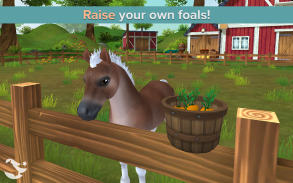 Star Stable Horses screenshot 0