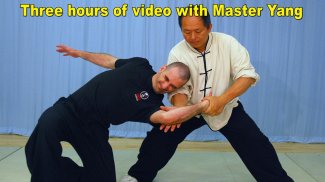 Tai Chi Martial Applications screenshot 0