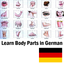 ส่วนของร่างกายในเยอรมัน Icon