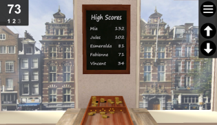 Dutch Shuffleboard screenshot 2