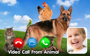 Video call from sound of animals - Text simulation screenshot 0