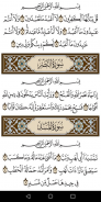 القرآن الكريم برواية الدوري screenshot 8