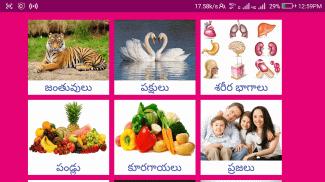 Learn Hindi from Telugu screenshot 3