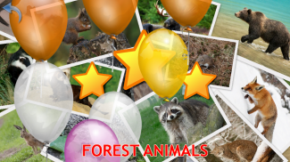 Animals for Kids screenshot 7