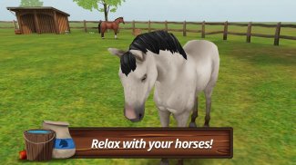 马的世界 - 我的骑乘马：有马儿作伴的游戏 screenshot 2