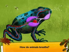 How do Animals Work? screenshot 10