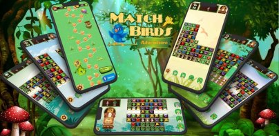 Match Birds Adventure