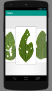 BioLeaf - Foliar Analysis screenshot 1