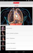 HEART - Digital Anatomy Atlas screenshot 12